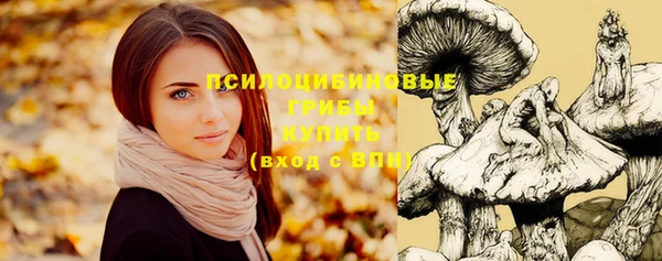 mix Зерноград