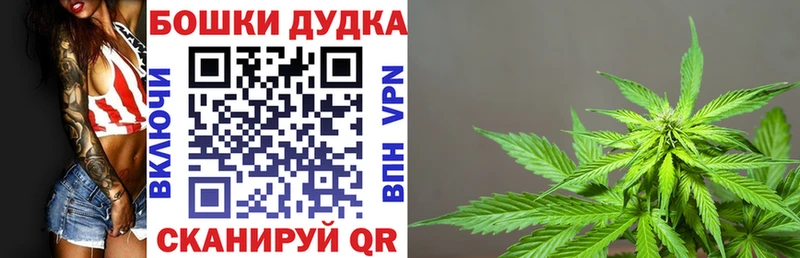 Бошки Шишки сатива  Купить закладки  Бугульма 